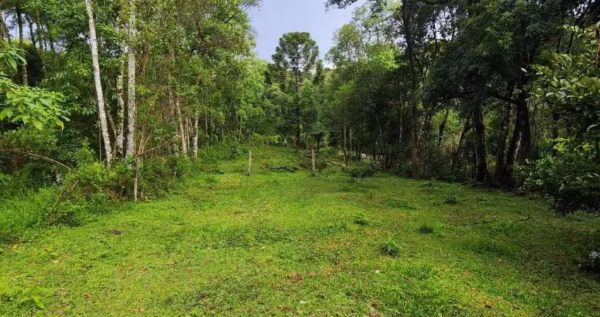 Chácara à venda no bairro campina do bicudo - em  balsa nova/pr