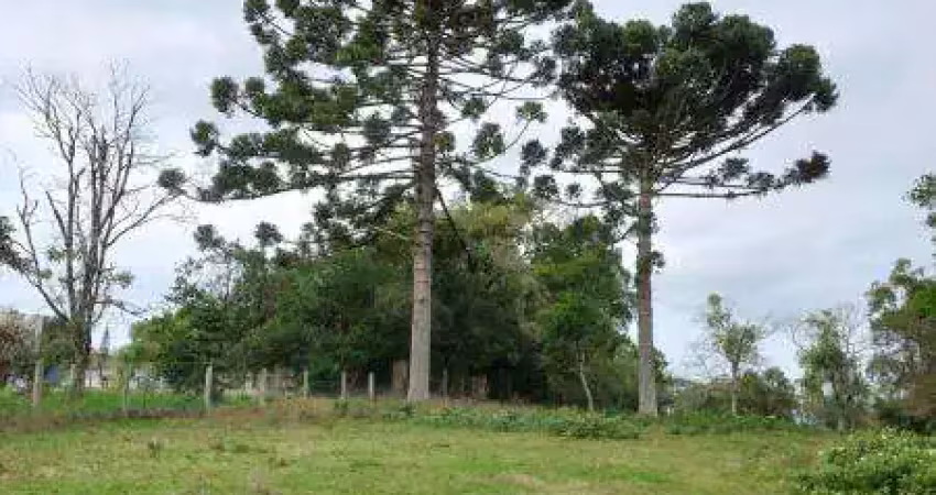 Terreno à venda na TR. JOBIM, 00, Centro, Itaara