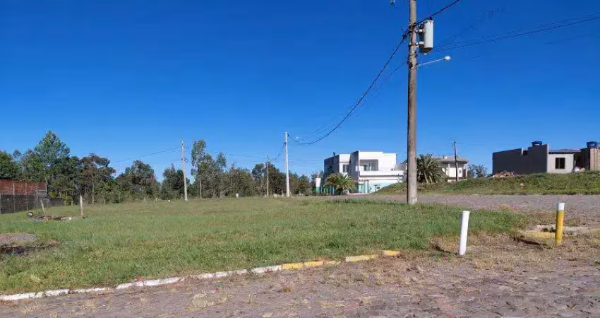 Terreno comercial à venda na Rua E, 1, Tomazetti, Santa Maria