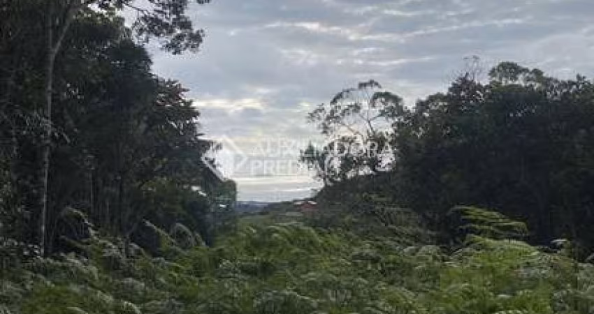 Terreno à venda na Pedro Manoel De Lima, 444, Macacu, Garopaba