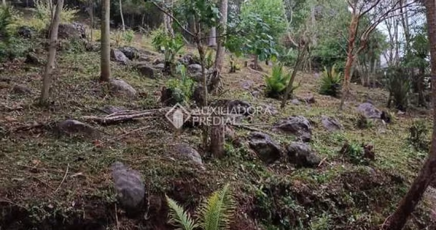 Terreno à venda na Estrada Geral Canto Do Siriú, 373, Siriú, Garopaba