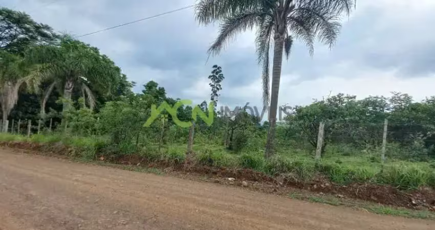 Área com 2,2 hectares, na divisa de portão e estância velha, macaco branco