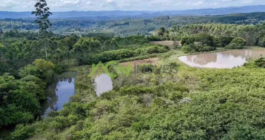 Área com 2,2 hectares, na divisa de portão e estância velha, macaco branco