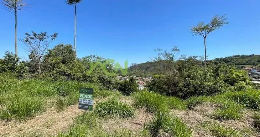Terreno, 329,82m² - Floresta
