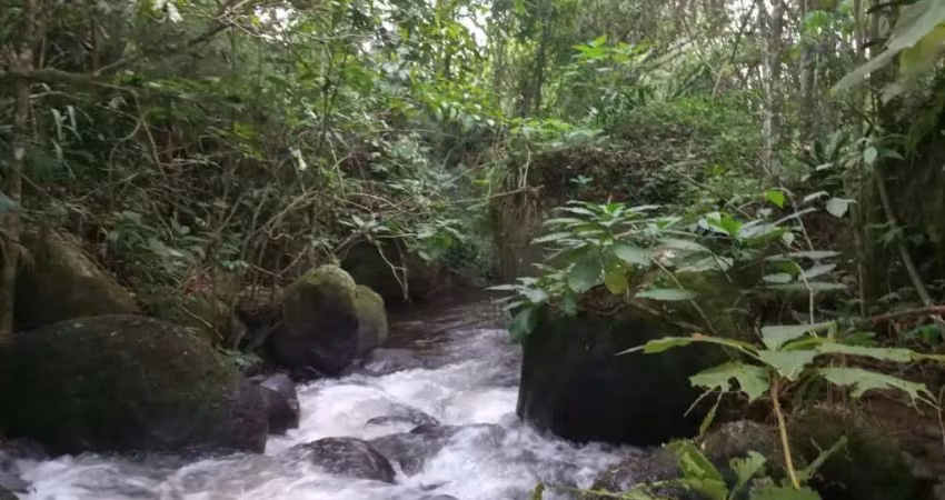 Chácara / sítio com 4 quartos à venda no Bairro dos Souzas, Monteiro Lobato 