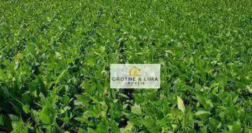 Fazenda com 3.980 hectares  à venda na região município de são félix do araguaia- to.