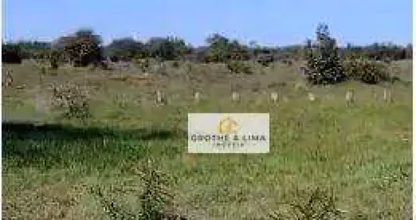 Fazenda para pecuária em cocalinho, mt - oportunidade única em um cenário rural espetacular