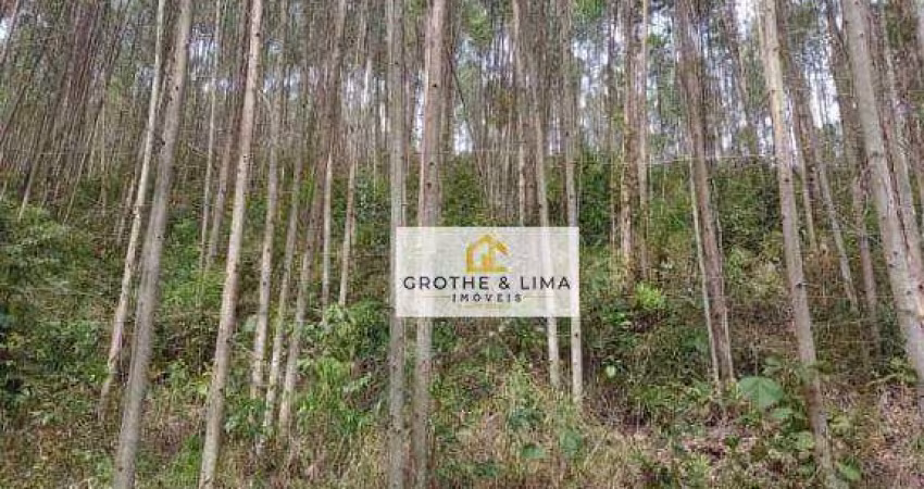 Área à venda, 108900 m² por R$ 440.000 - Cedro - Paraibuna/SP