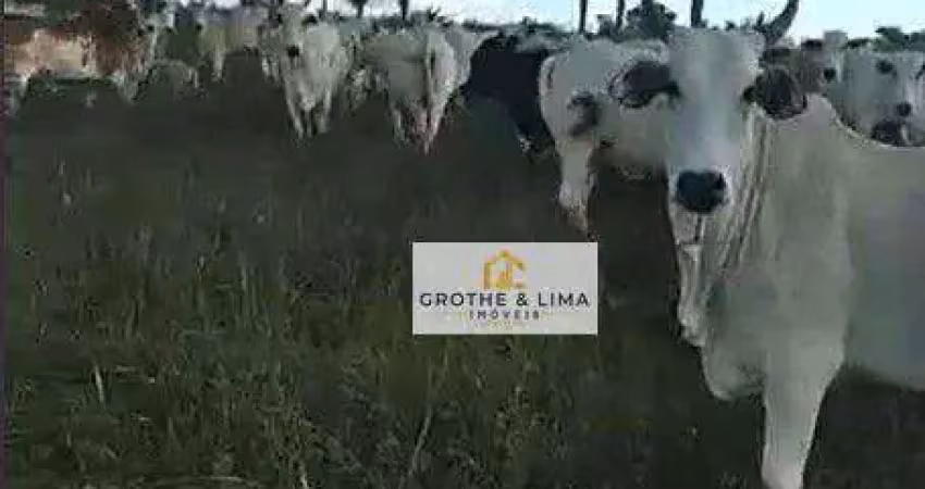 Fazenda à venda, 5130400 m² por R$ 10.600.000 - Dirceu Arcoverde - Parnaíba/PI