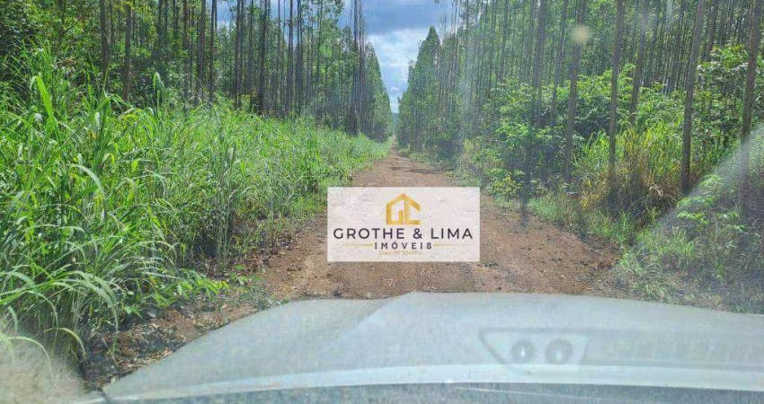 Fazenda à venda na região de Araguaina/TO.