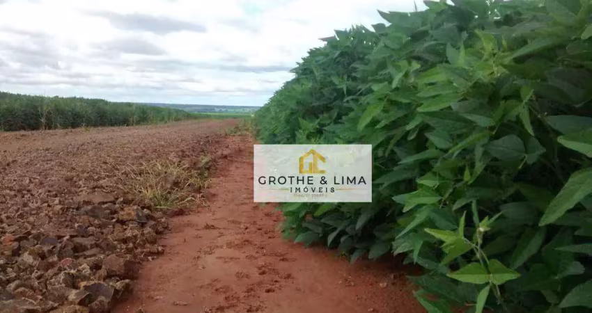 Fazenda à venda no Centro, Terenos 