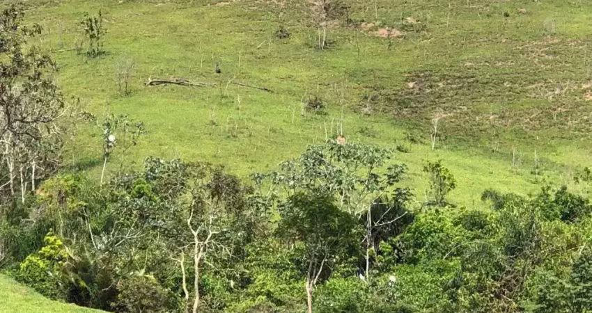 Terreno à venda, 50862 m² por r$ 690.000,00 - parque residencial jequitibá - jacareí/sp