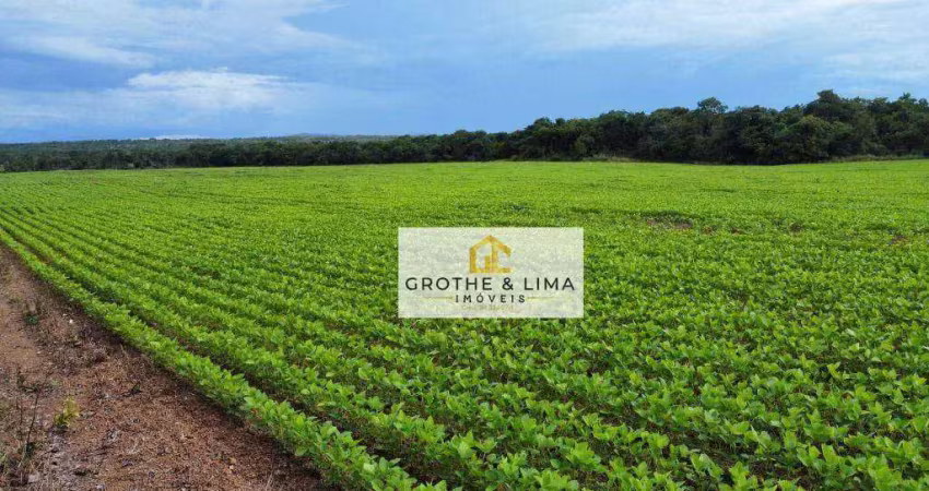Fazenda à venda, 700 hectares por r$ 24.000.000 - gurupi/to