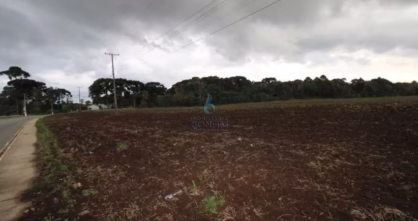 Terreno à venda na Avenida São João, São João, Contenda