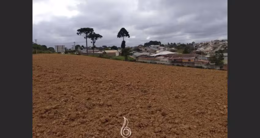Terreno comercial à venda na Avenida Eleutério De Souza Padilha, 834, São João, Contenda
