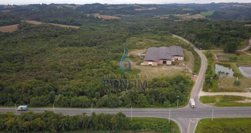 Barracão / Galpão / Depósito à venda na Avenida Independência, 5800, Campina das Pedras, Araucária
