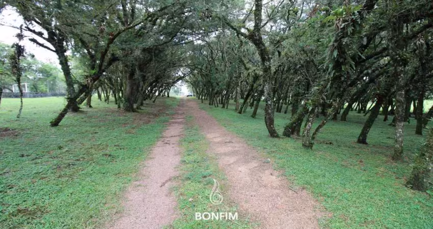 Chácara / sítio à venda na Rua Manoel Plantes Correia, Cachoeira, São José dos Pinhais