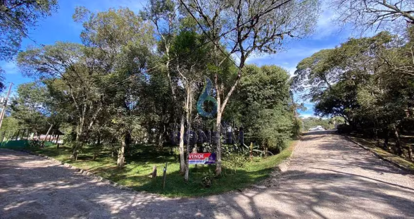 Terreno em condomínio fechado à venda na Avenida Jacob Valenga, 2771, Vila Franca, Piraquara