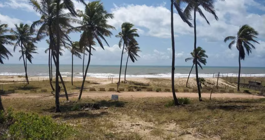 Terreno para Venda em Esplanada