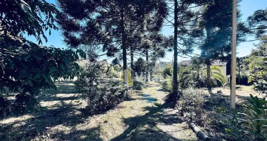 Chácara com 3 dormitórios à venda, 22450 m² por r$ 1.250.000 - planta meireles - piraquara/pr