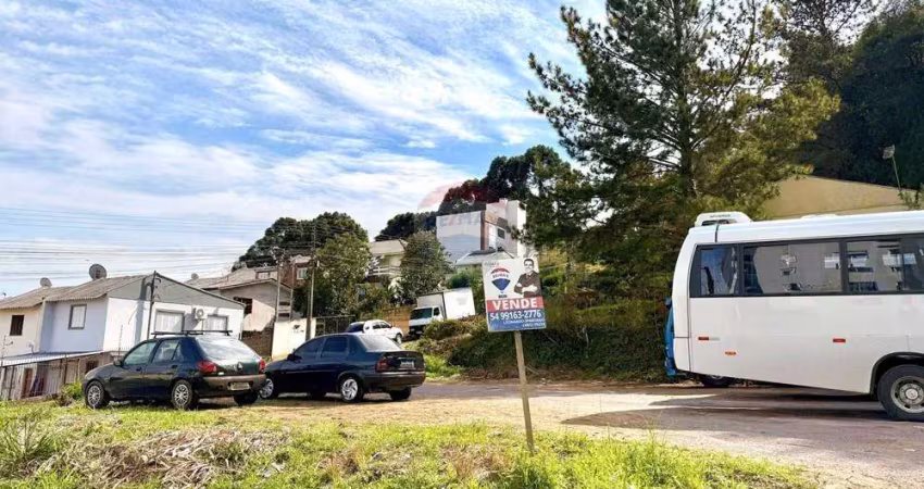 Terreno à venda na Rua Mario Verona, 15, Santa Catarina, Caxias do Sul