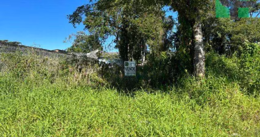 Terreno à venda na Rua Bertioga, Matinhos - PR, Brasil, Riviera, Matinhos