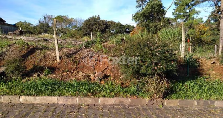 Terreno à venda na Avenida Cônego Peres, LOTE 01, São Cristovão, Nova Prata