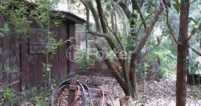 Terreno comercial à venda na Avenida Bento Gonçalves, 1589, Partenon, Porto Alegre