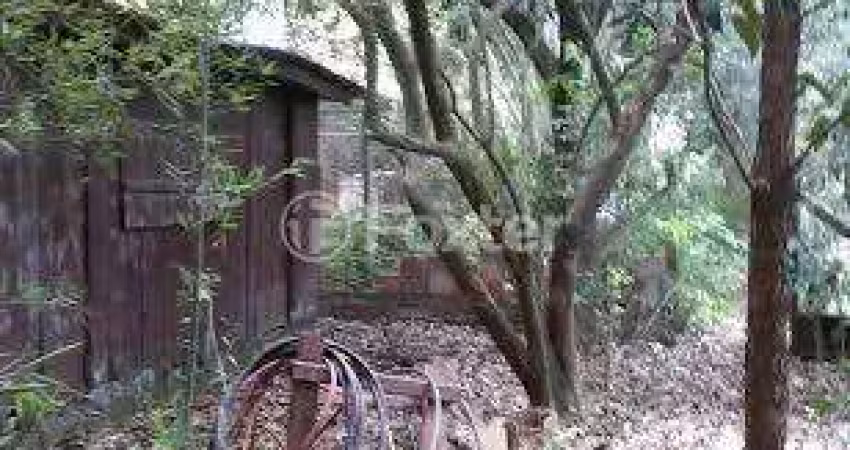 Terreno comercial à venda na Avenida Bento Gonçalves, 1589, Partenon, Porto Alegre