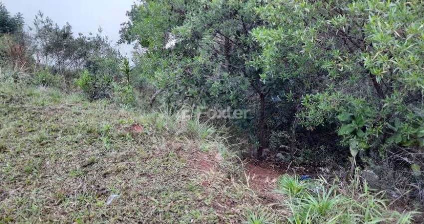 Terreno à venda na Avenida Altos do Santa Rita, 520, Aberta dos Morros, Porto Alegre