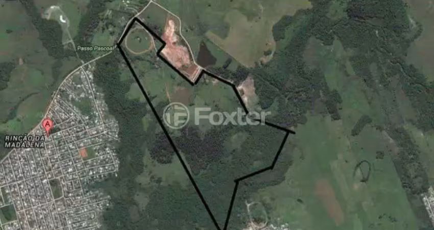 Terreno comercial à venda na Rua Lino Estácio dos Santos, 3000, Rincão da Madalena, Gravataí