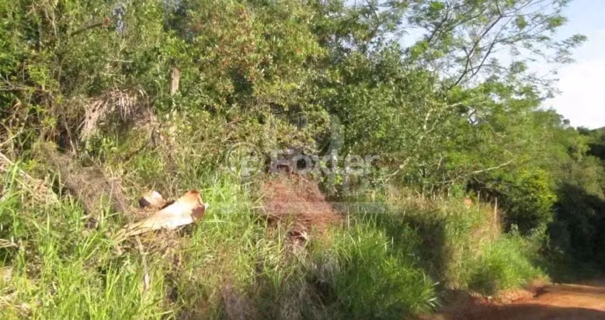 Terreno à venda na Estrada Jorge Pereira Nunes, 1548, Campo Novo, Porto Alegre