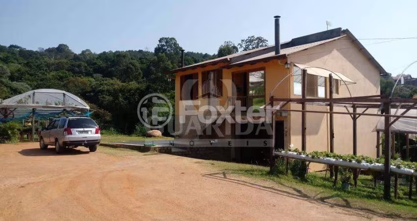 Fazenda com 1 sala à venda na Estrada João Passuelo, 1150, Vila Nova, Porto Alegre