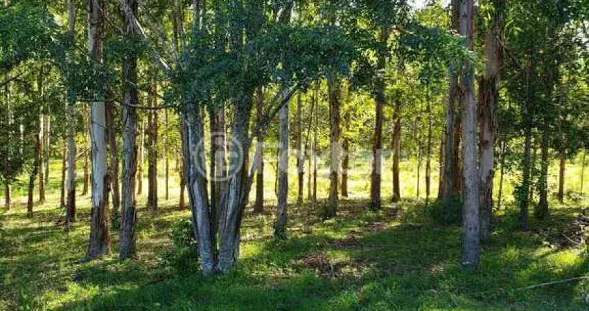 Fazenda à venda na Estrada Morrinhos, 1530, Centro, Butiá