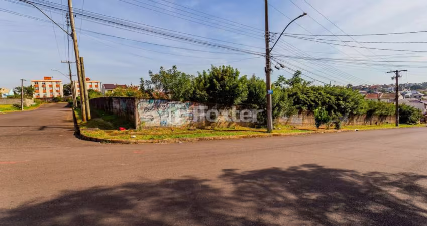 Terreno comercial à venda na Rua Carlos de Britto Velho, 166, Parque Santa Fé, Porto Alegre