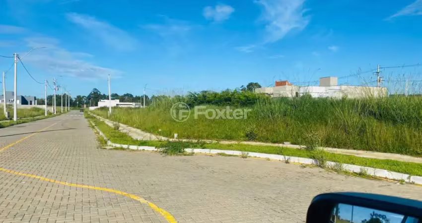 Terreno à venda na Rua Elcio Luiz da Silva Soares, S/N, São Vicente, Gravataí