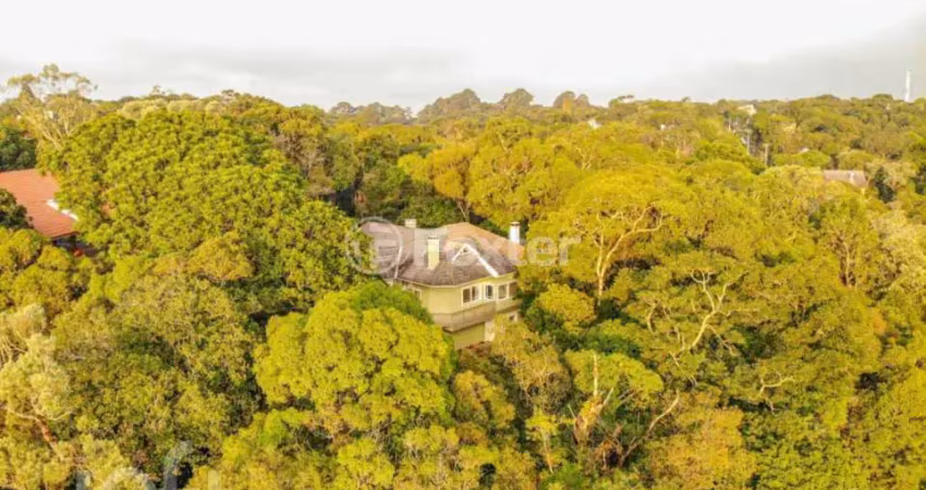 Casa em condomínio fechado com 3 quartos à venda na Rua Laurindo Comiotto, 714, Floresta, Gramado