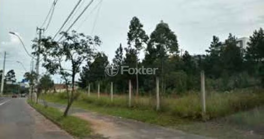 Terreno comercial à venda na Avenida Juca Batista, 2797, Cavalhada, Porto Alegre
