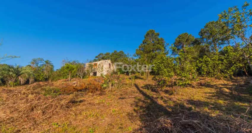 Terreno comercial à venda na Estrada das Furnas, 1501, Vila Nova, Porto Alegre