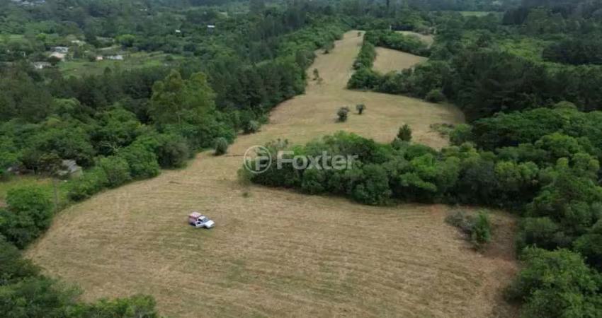 Fazenda à venda na Estrada da Branquinha, S/N, Branquinha, Viamão