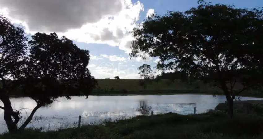 Fazenda com 1 sala à venda na Rodovia RS-040, KM 40, Águas Claras, Viamão