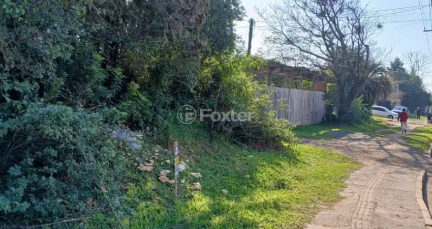 Terreno comercial à venda na Rua João Maria da Fonseca, 911, Passo das Pedras, Gravataí