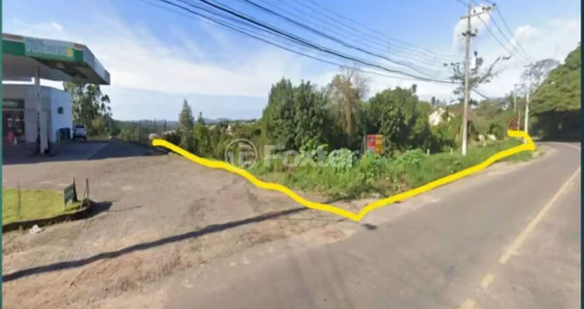 Terreno comercial à venda na Estrada Bérico José Bernardes, S/N, São Tomé, Viamão