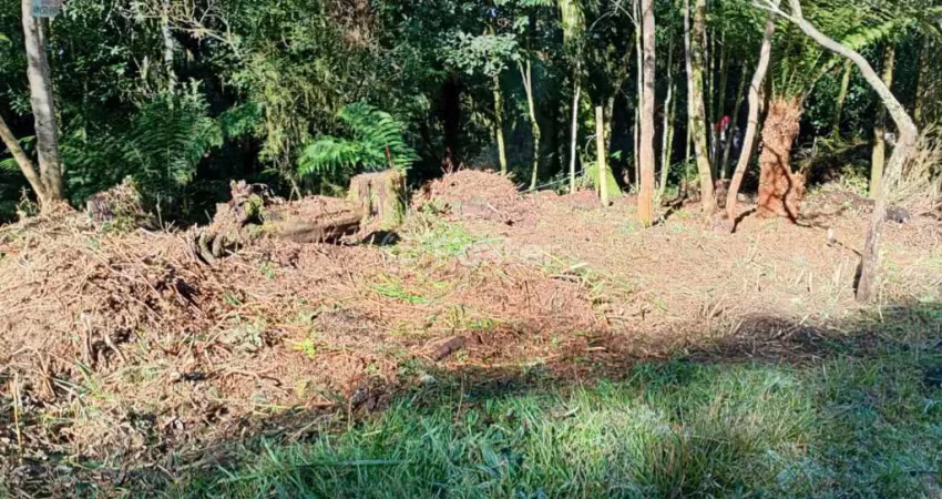 Terreno à venda na Avenida Mata Atlântica, Quadra 12, Centro, São Francisco de Paula