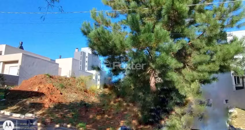 Terreno à venda na Rua José Carlos Corrêa Costa, 311, Oriço, Gravataí