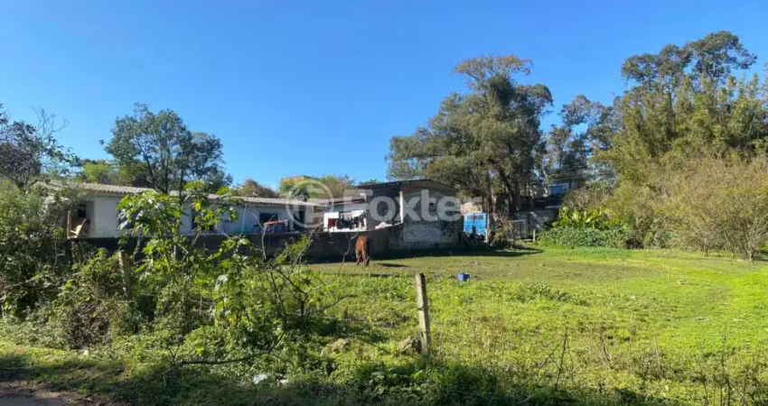 Terreno à venda na Beco do Armando, 650, Lageado, Porto Alegre