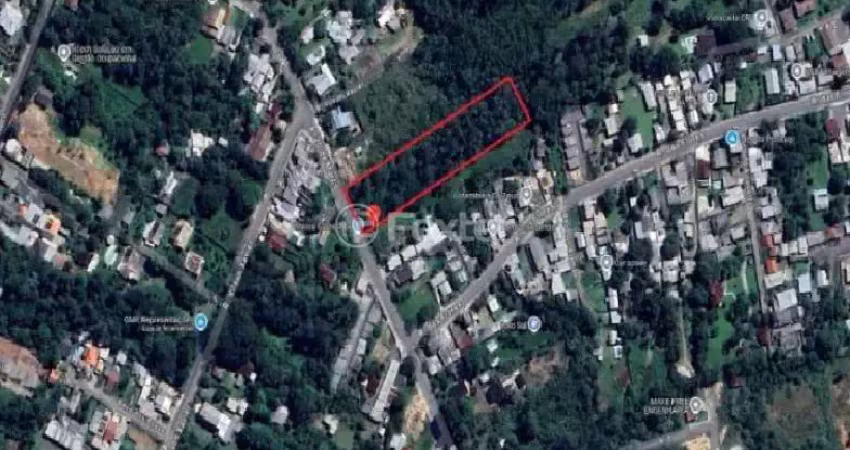 Terreno à venda na Rua 20 de Março, 679, Berto Círio, Nova Santa Rita
