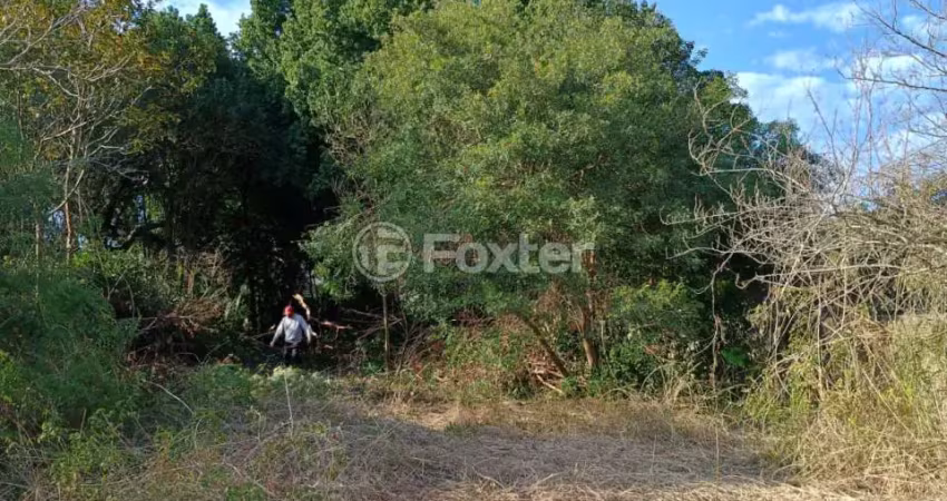 Terreno comercial à venda na Rua Conselheiro Xavier da Costa, 3094, Ipanema, Porto Alegre