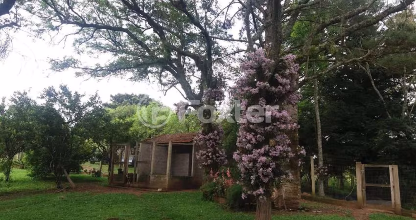 Fazenda com 5 salas à venda na Jardim Do Cedro, 195, Santa Tecla (Ipiranga), Gravataí