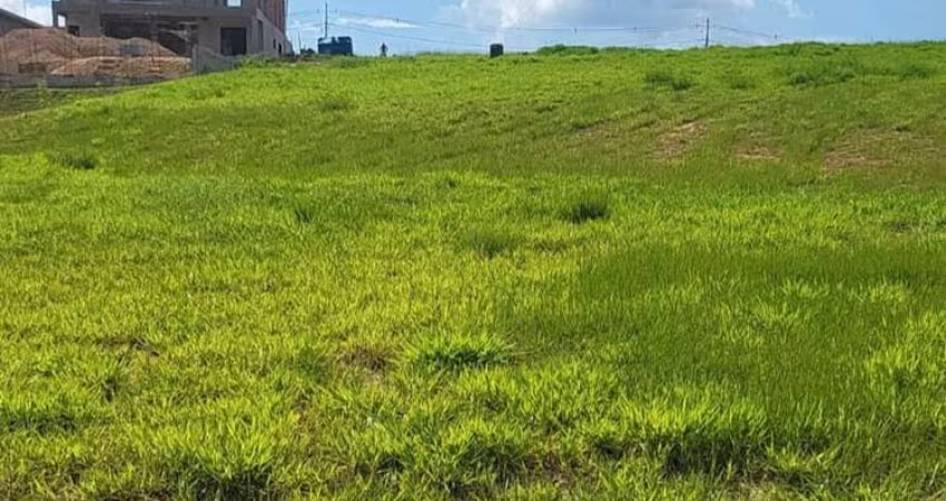 Terreno à venda na Rodovia Cônego Cyriaco Scaranelo Pires, Parque Residencial Indaiá, Indaiatuba